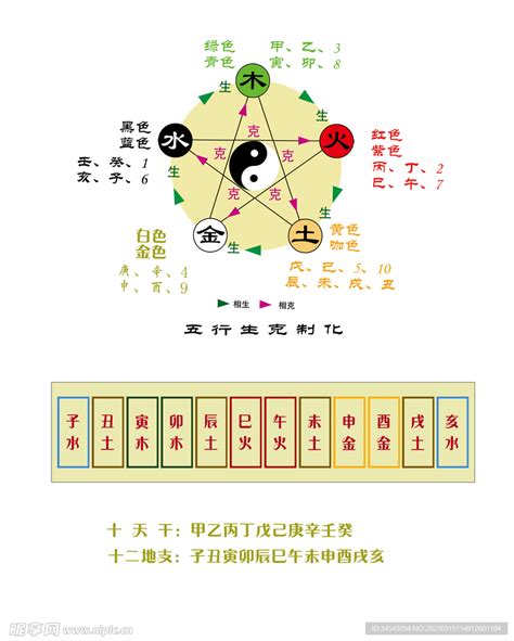 天干 陰陽|陰陽、五行與天干、地支 (作者：李文傳 老師 / 逢甲大學經濟學。